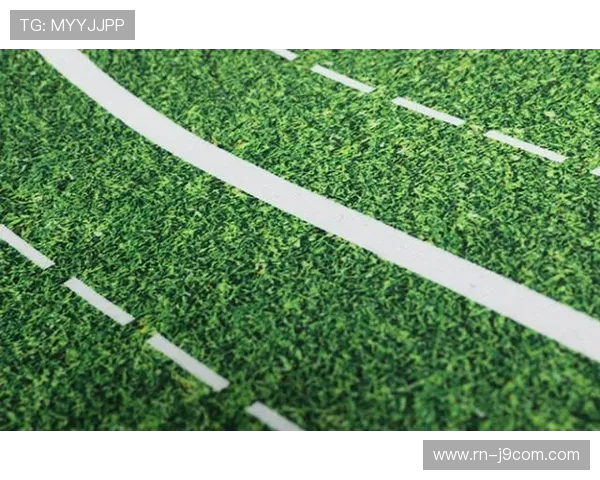 全面解析绿茵足球地毯最新市场行情与价格参考实用选购指南详尽篇